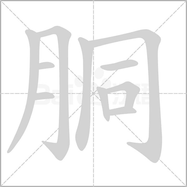 胴字笔顺图