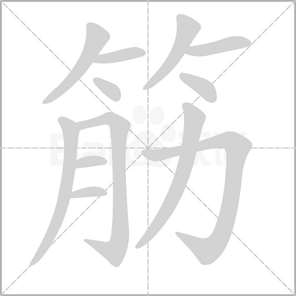 筋字笔顺图