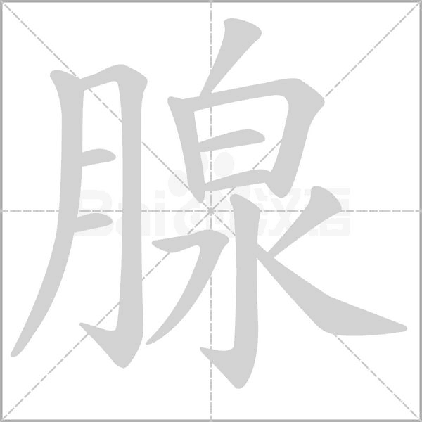 腺字笔顺图