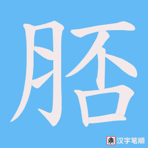 脴字笔顺图