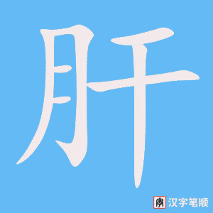 肝字笔顺图