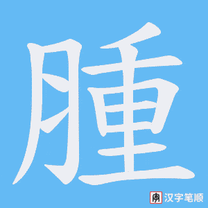 腫字笔顺图