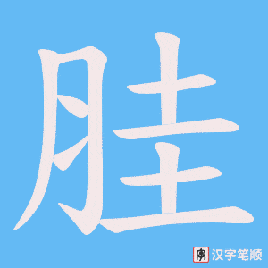 胿字笔顺图
