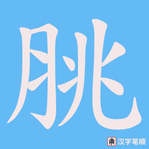 脁字笔顺图