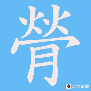 膋字笔顺图