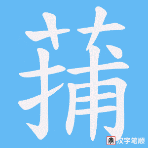 蒱字笔顺图