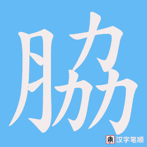 脇字笔顺图