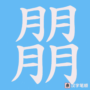 朤字笔顺图
