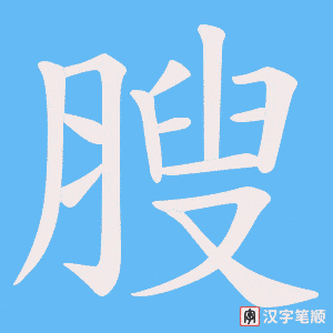 膄字笔顺图