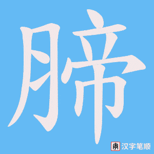 腣字笔顺图
