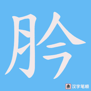 肣字笔顺图