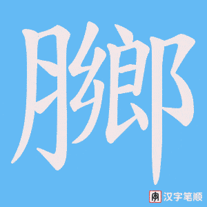 膷字笔顺图