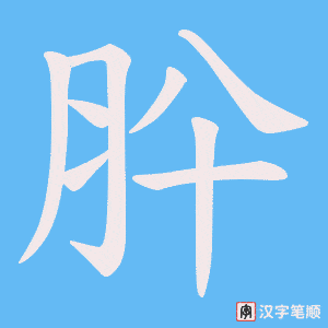 肸字笔顺图