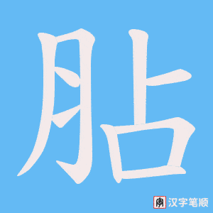 胋字笔顺图