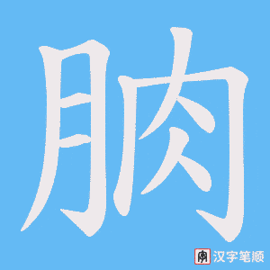朒字笔顺图