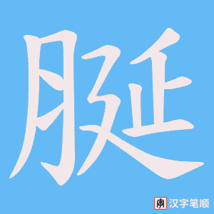 脠字笔顺图