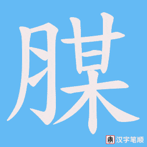 腜字笔顺图