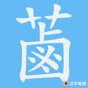 蓾字笔顺图