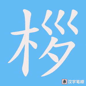 桚字笔顺图