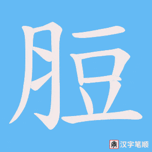 脰字笔顺图