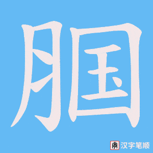 腘字笔顺图