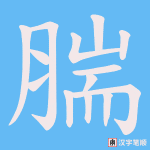 腨字笔顺图