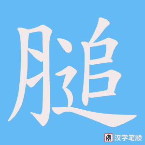 膇字笔顺图