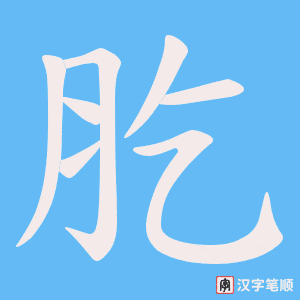 肐字笔顺图