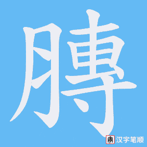 膞字笔顺图