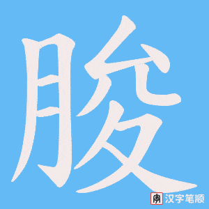 朘字笔顺图