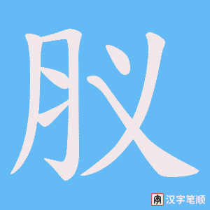 肞字笔顺图