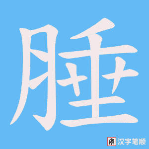 腄字笔顺图