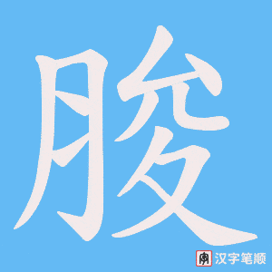 脧字笔顺图