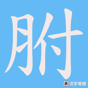 胕字笔顺图