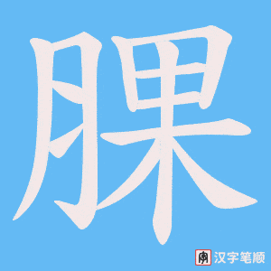 腂字笔顺图
