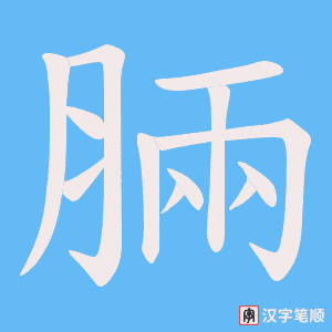 脼字笔顺图