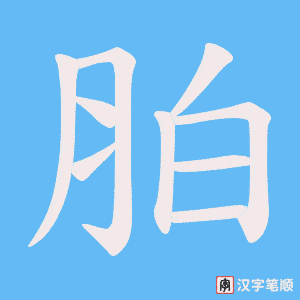 胉字笔顺图