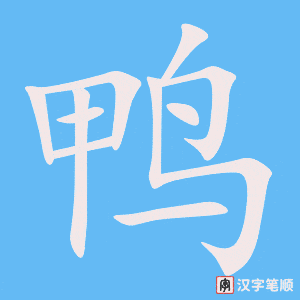 鸭字笔顺图