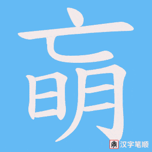 朚字笔顺图