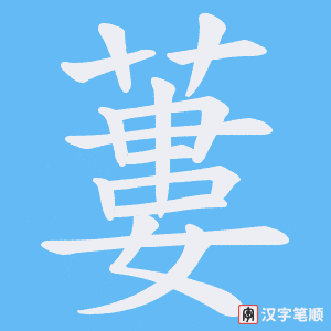 蔞字笔顺图