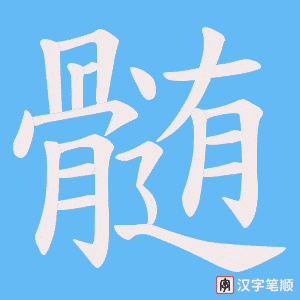髄字笔顺图