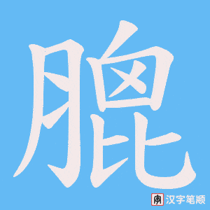 膍字笔顺图