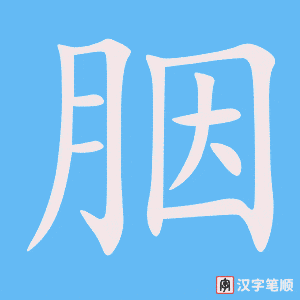 胭字笔顺图