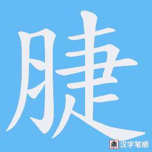 脻字笔顺图