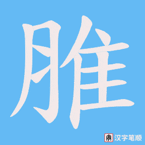 脽字笔顺图