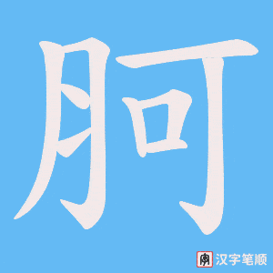 胢字笔顺图
