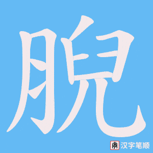 腉字笔顺图