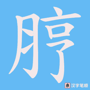 脝字笔顺图