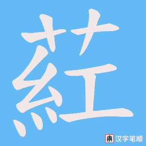 葒字笔顺图