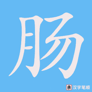 肠字笔顺图